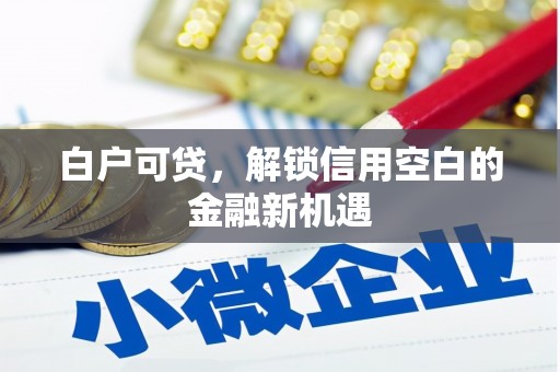 文昌白户可贷，解锁信用空白的金融新机遇