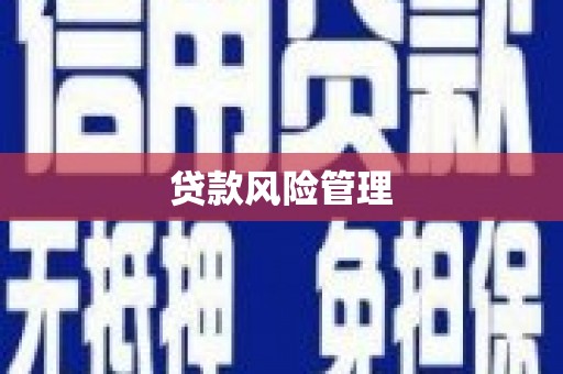 文昌贷款风险管理