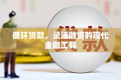 文昌循环贷款，灵活融资的现代金融工具