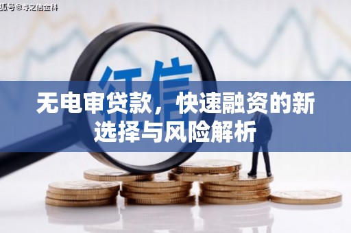 文昌无电审贷款，快速融资的新选择与风险解析