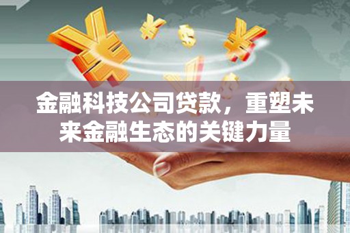 文昌金融科技公司贷款，重塑未来金融生态的关键力量