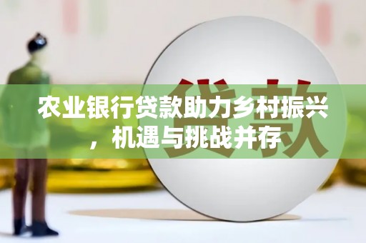 文昌农业银行贷款助力乡村振兴，机遇与挑战并存