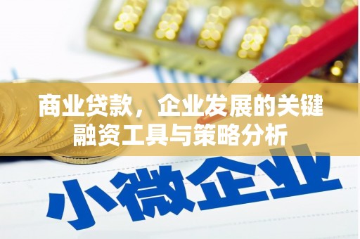 文昌商业贷款，企业发展的关键融资工具与策略分析