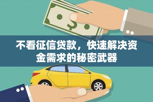 文昌不看征信贷款，快速解决资金需求的秘密武器