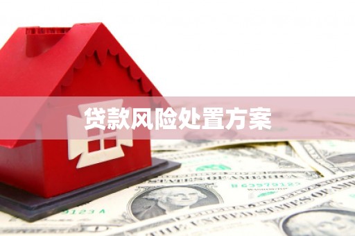 文昌贷款风险处置方案