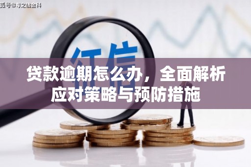 文昌贷款逾期怎么办，全面解析应对策略与预防措施