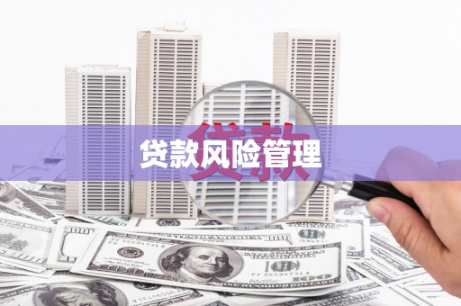 文昌贷款风险管理