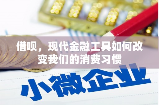 文昌借呗，现代金融工具如何改变我们的消费习惯