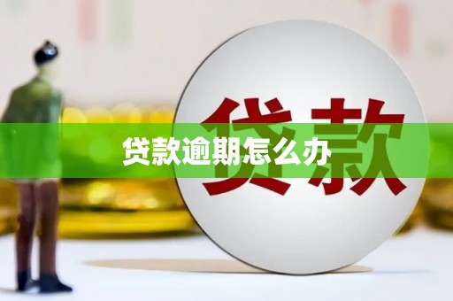 文昌贷款逾期怎么办