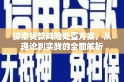 文昌探索贷款风险处置方案，从理论到实践的全面解析