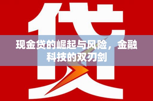文昌现金贷的崛起与风险，金融科技的双刃剑