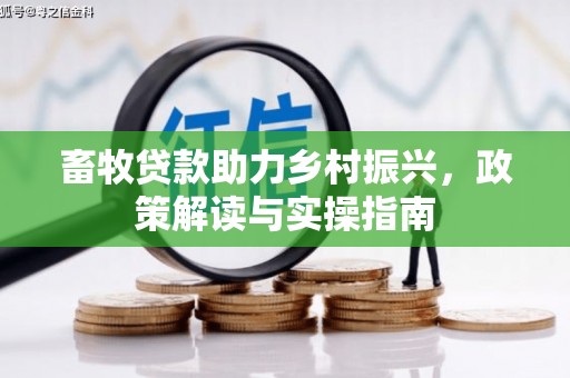 文昌畜牧贷款助力乡村振兴，政策解读与实操指南