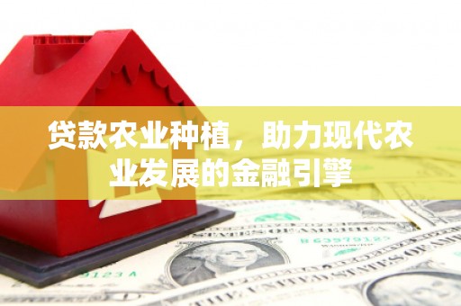 文昌贷款农业种植，助力现代农业发展的金融引擎