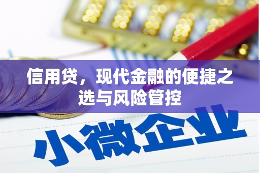 文昌信用贷，现代金融的便捷之选与风险管控
