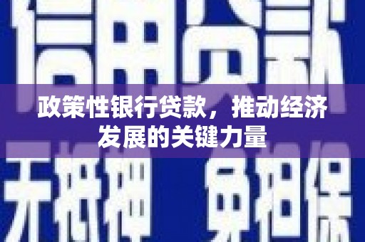 文昌政策性银行贷款，推动经济发展的关键力量