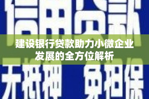 文昌建设银行贷款助力小微企业发展的全方位解析