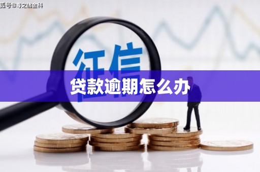 文昌贷款逾期怎么办