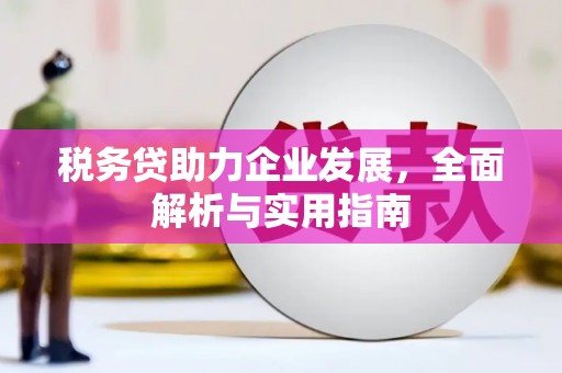 文昌税务贷助力企业发展，全面解析与实用指南