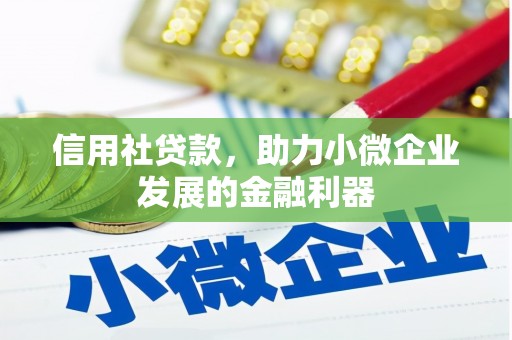 文昌信用社贷款，助力小微企业发展的金融利器