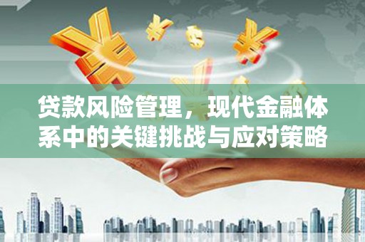 文昌贷款风险管理，现代金融体系中的关键挑战与应对策略
