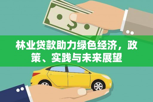 文昌林业贷款助力绿色经济，政策、实践与未来展望
