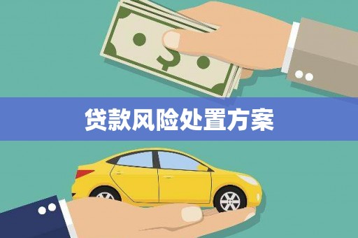 文昌贷款风险处置方案