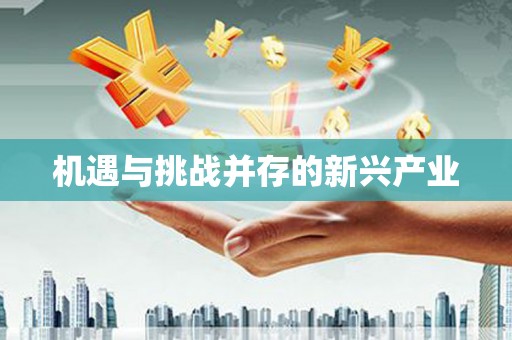 文昌机遇与挑战并存的新兴产业
