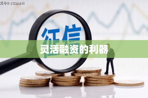 文昌灵活融资的利器