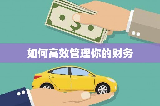 文昌如何高效管理你的财务