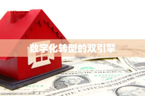 文昌数字化转型的双引擎