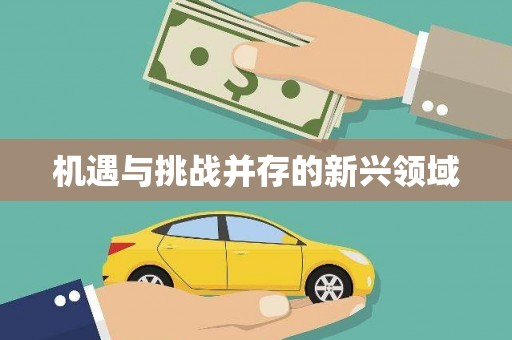 文昌机遇与挑战并存的新兴领域