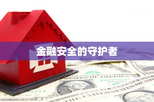 文昌金融安全的守护者