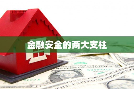 文昌金融安全的两大支柱