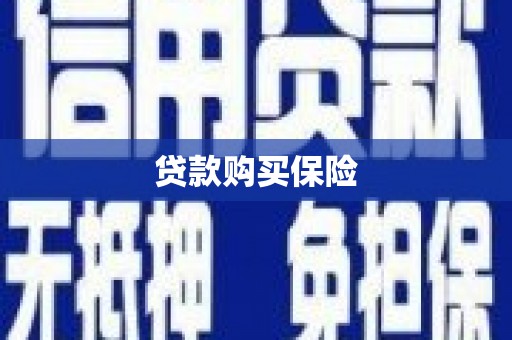 文昌贷款购买保险