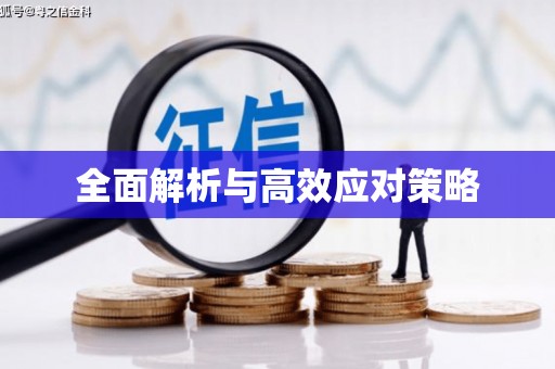 文昌全面解析与高效应对策略