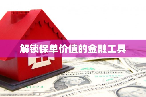 文昌解锁保单价值的金融工具