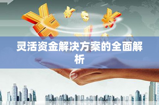 文昌灵活资金解决方案的全面解析