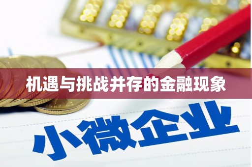 文昌机遇与挑战并存的金融现象
