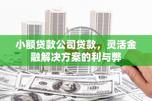 文昌小额贷款公司贷款，灵活金融解决方案的利与弊