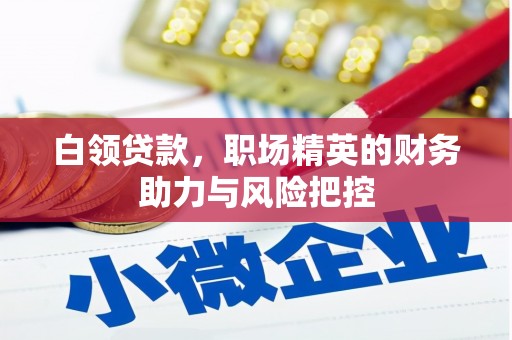 文昌白领贷款，职场精英的财务助力与风险把控